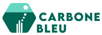 Carbone Bleu